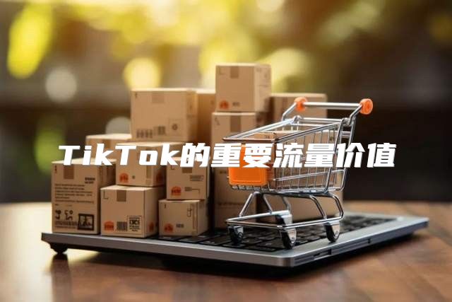 TikTok的重要流量价值