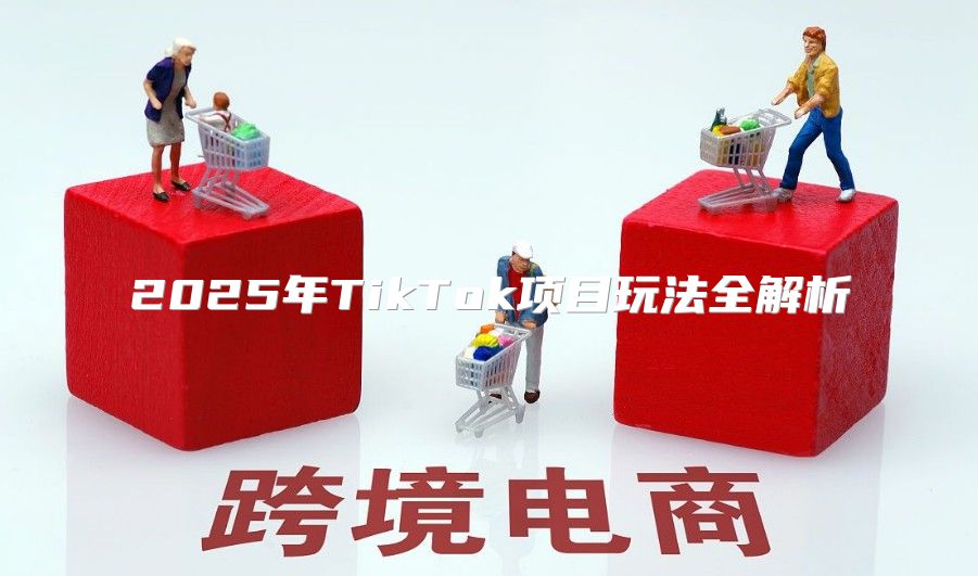 2025年TikTok项目玩法全解析