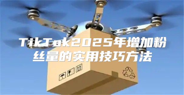 TikTok2025年增加粉丝量的实用技巧方法