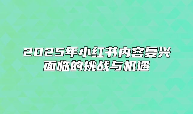 2025年小红书内容复兴面临的挑战与机遇