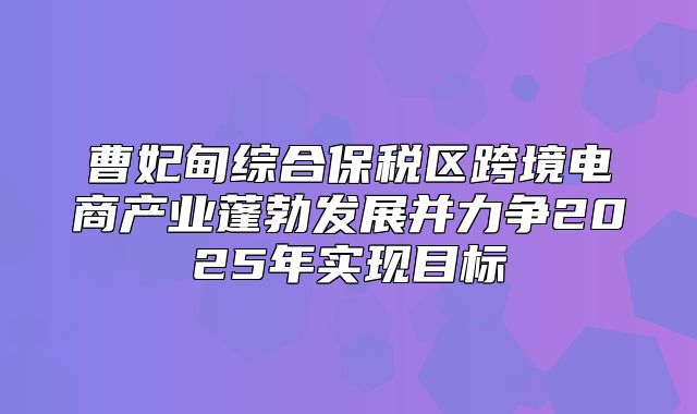 曹妃甸综合保税区跨境电商产业蓬勃发展并力争2025年实现目标