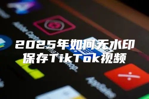 2025年如何无水印保存TikTok视频