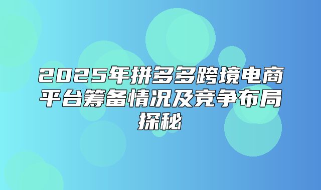 2025年拼多多跨境电商平台筹备情况及竞争布局探秘