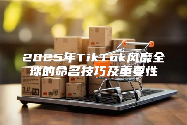2025年TikTok风靡全球的命名技巧及重要性