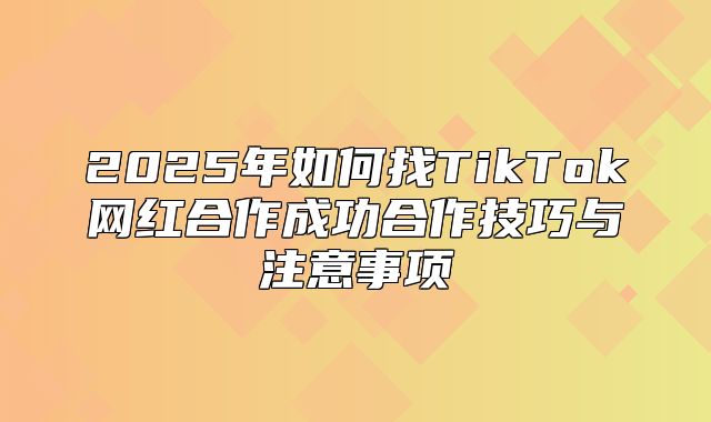 2025年如何找TikTok网红合作成功合作技巧与注意事项
