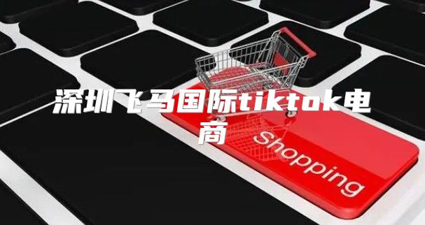 深圳飞马国际tiktok电商
