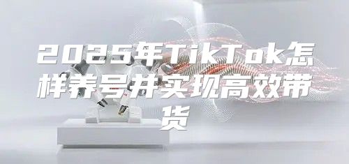 2025年TikTok怎样养号并实现高效带货