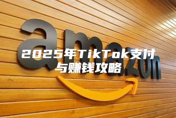 2025年TikTok支付与赚钱攻略