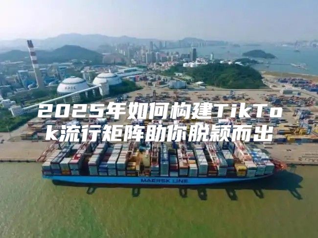 2025年如何构建TikTok流行矩阵助你脱颖而出