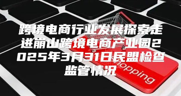 跨境电商行业发展探索走进崩山跨境电商产业园2025年3月31日民盟检查监管情况