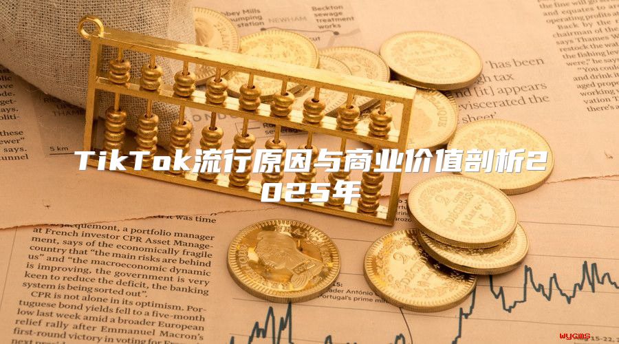 TikTok流行原因与商业价值剖析2025年