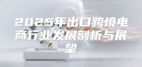 2025年出口跨境电商行业发展剖析与展望
