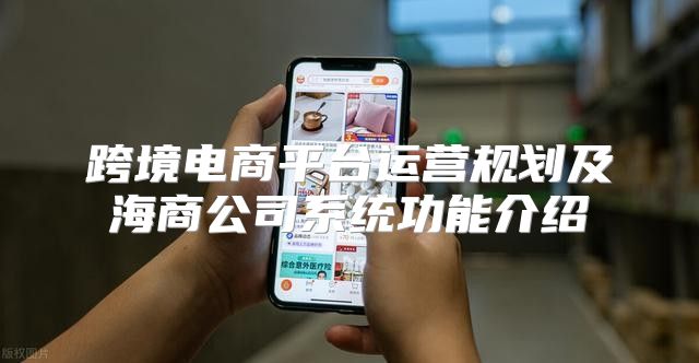 跨境电商平台运营规划及海商公司系统功能介绍