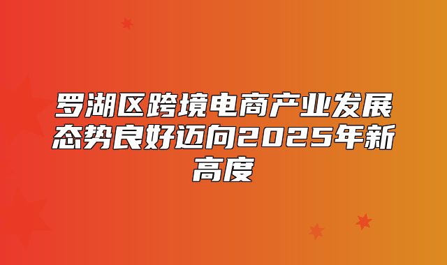 罗湖区跨境电商产业发展态势良好迈向2025年新高度