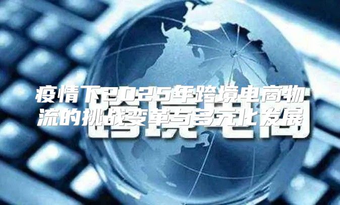 疫情下2025年跨境电商物流的挑战变革与多元化发展