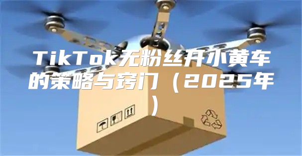 TikTok无粉丝开小黄车的策略与窍门2025年