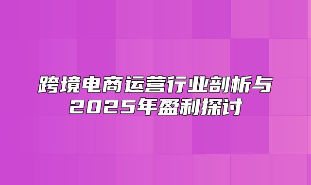 跨境电商运营行业剖析与2025年盈利探讨