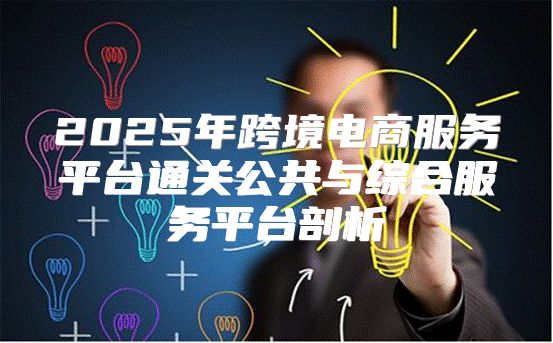 2025年跨境电商服务平台通关公共与综合服务平台剖析