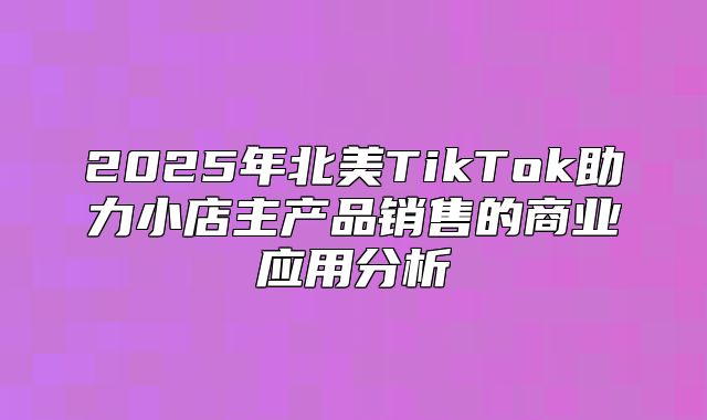 2025年北美TikTok助力小店主产品销售的商业应用分析
