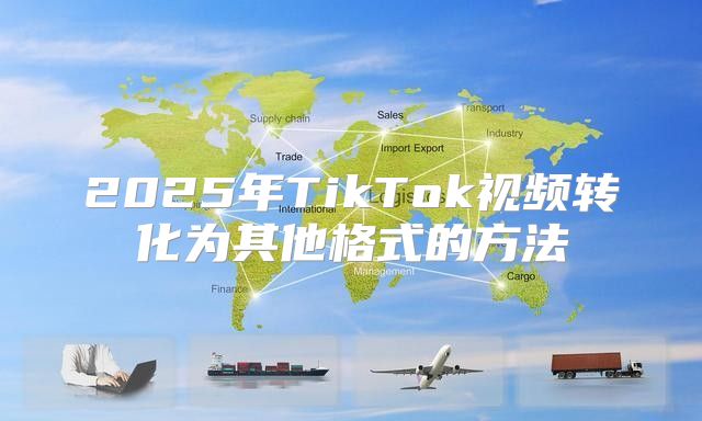 2025年TikTok视频转化为其他格式的方法