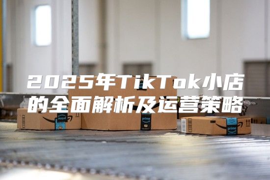 2025年TikTok小店的全面解析及运营策略