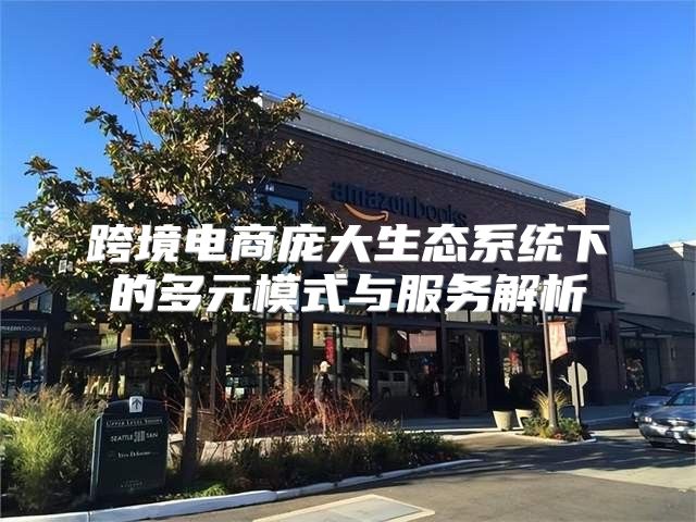 跨境电商庞大生态系统下的多元模式与服务解析