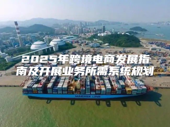 2025年跨境电商发展指南及开展业务所需系统规划
