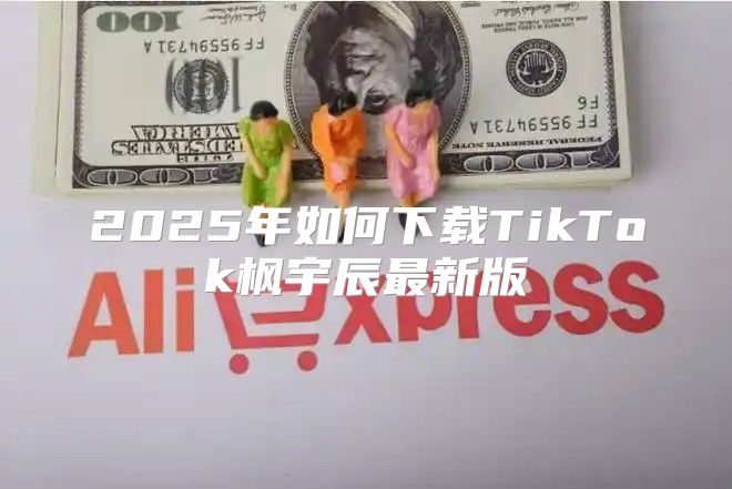 2025年如何下载TikTok枫宇辰最新版
