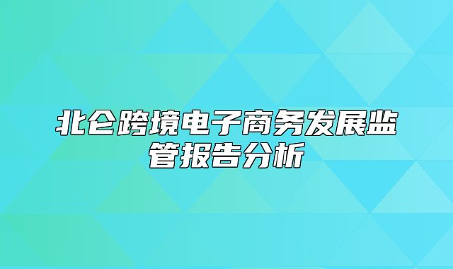 北仑跨境电子商务发展监管报告分析