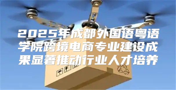 2025年成都外国语粤语学院跨境电商专业建设成果显著推动行业人才培养
