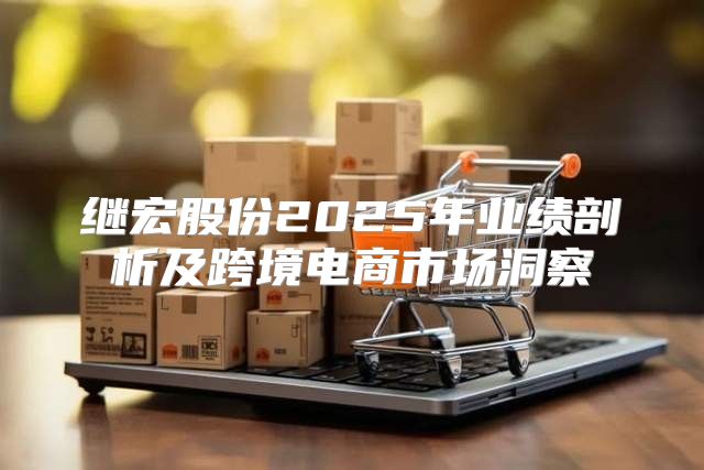 继宏股份2025年业绩剖析及跨境电商市场洞察