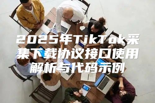 2025年TikTok采集下载协议接口使用解析与代码示例