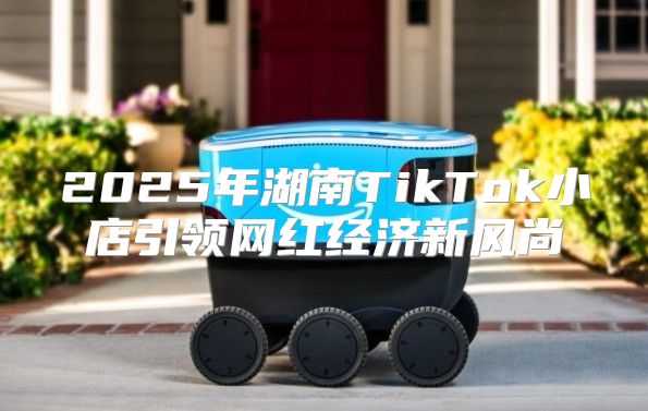 2025年湖南TikTok小店引领网红经济新风尚