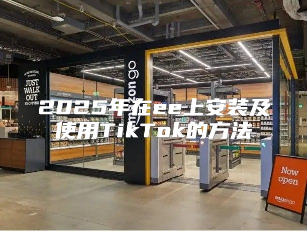 2025年在ee上安装及使用TikTok的方法