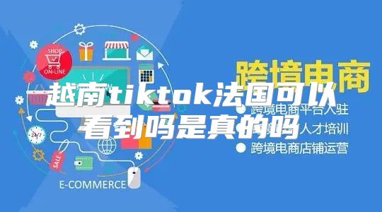 越南tiktok法国可以看到吗是真的吗