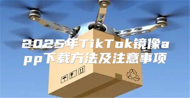 2025年TikTok镜像app下载方法及注意事项