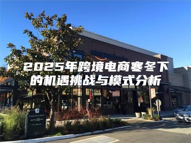 2025年跨境电商寒冬下的机遇挑战与模式分析