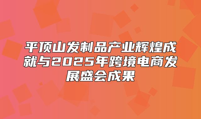 平顶山发制品产业辉煌成就与2025年跨境电商发展盛会成果
