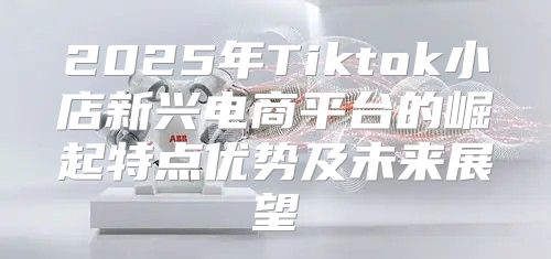 2025年Tiktok小店新兴电商平台的崛起特点优势及未来展望