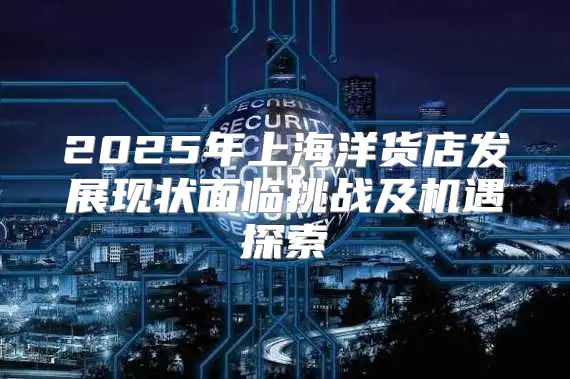 2025年上海洋货店发展现状面临挑战及机遇探索