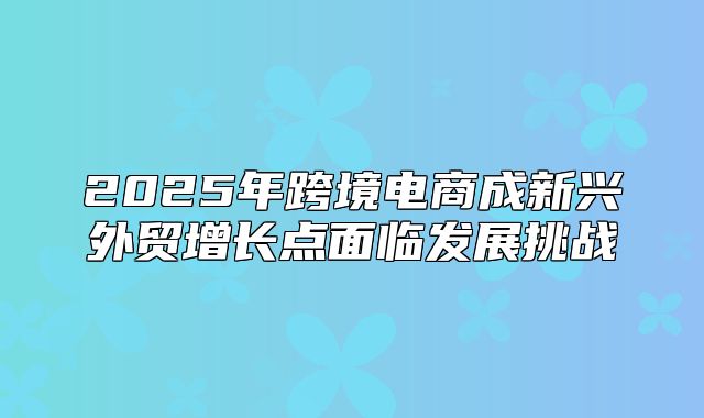2025年跨境电商成新兴外贸增长点面临发展挑战
