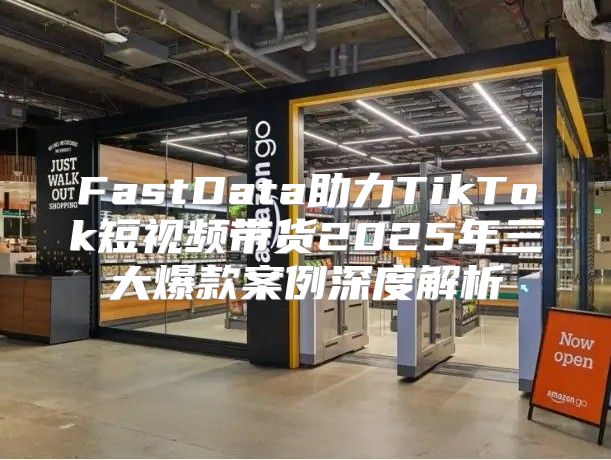 FastData助力TikTok短视频带货2025年三大爆款案例深度解析