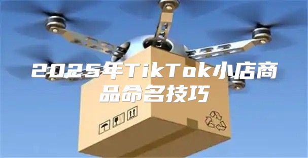 2025年TikTok小店商品命名技巧