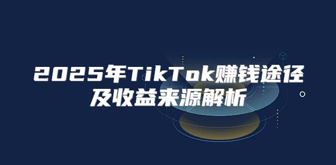 2025年TikTok赚钱途径及收益来源解析