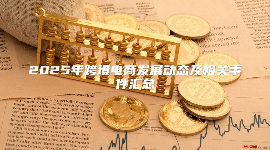 2025年跨境电商发展动态及相关事件汇总