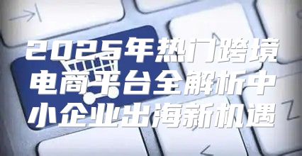 2025年热门跨境电商平台全解析中小企业出海新机遇