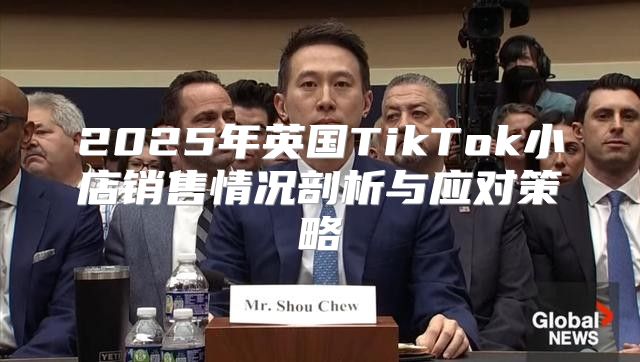 2025年英国TikTok小店销售情况剖析与应对策略