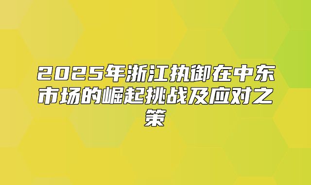 2025年浙江执御在中东市场的崛起挑战及应对之策