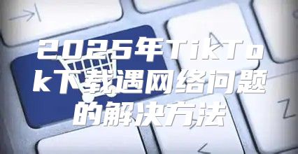 2025年TikTok下载遇网络问题的解决方法