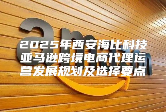 2025年西安海比科技亚马逊跨境电商代理运营发展规划及选择要点